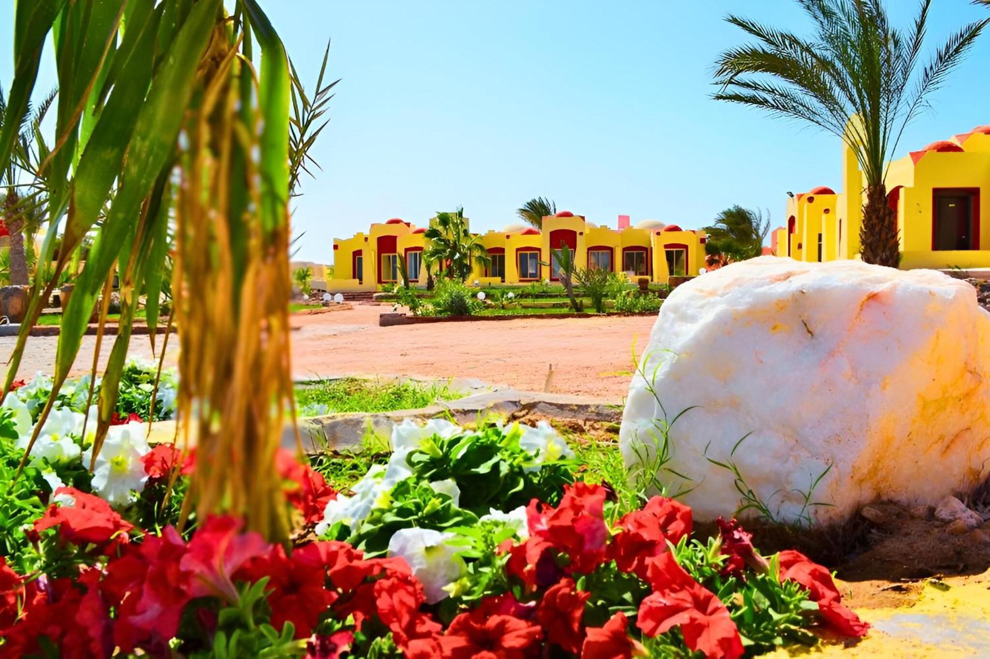 Hostmark Zabargad Beach Resort Abū Ghuşūn Dış mekan fotoğraf